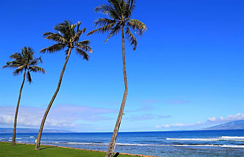 Papakea Resort K-206