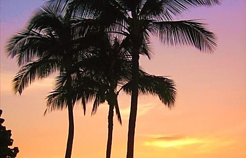 Waikoloa Colony Villas Unit