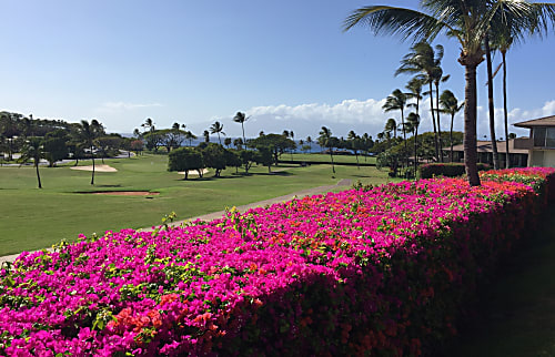 Maui Eldorado C205/C206