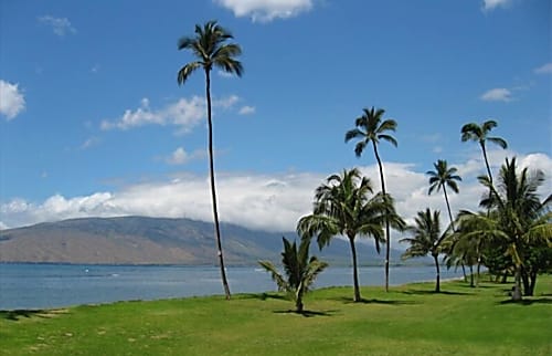 Maui Sunset Central Kihei