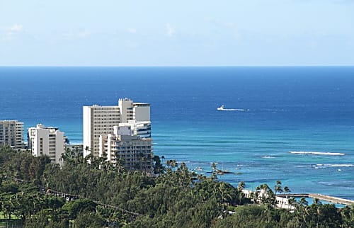 Waikiki Banyan