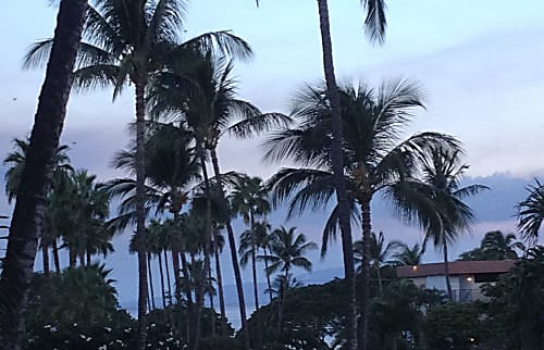 Kamaole Sands - 6-201