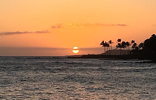 Prince Kuhio Unit #306