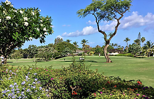 Grand Champions #157