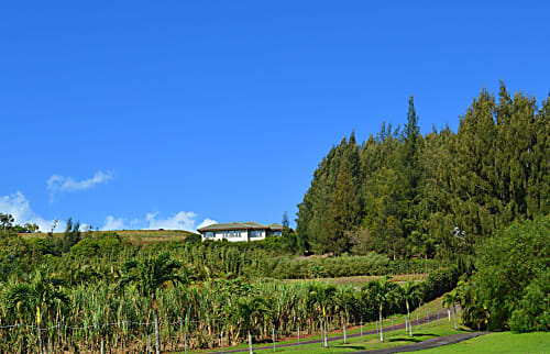 Maui Hilltop Retreat