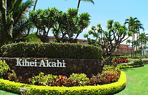Kihei Akahi D505