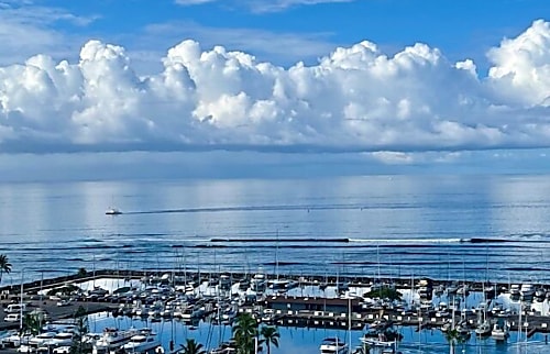 Ilikai Marina Ocean 17th Floor