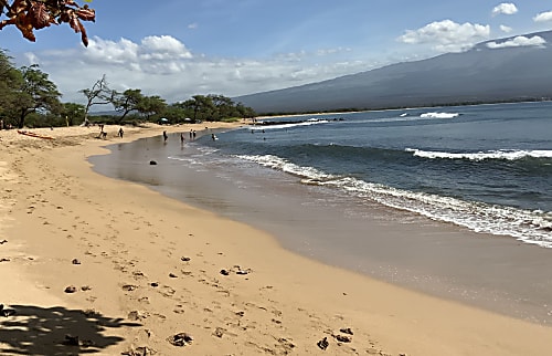 Hono Kai rental condo