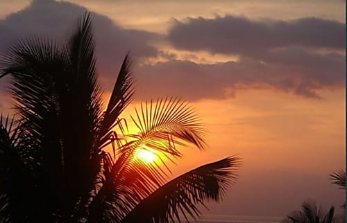 Grand Champions rental condo