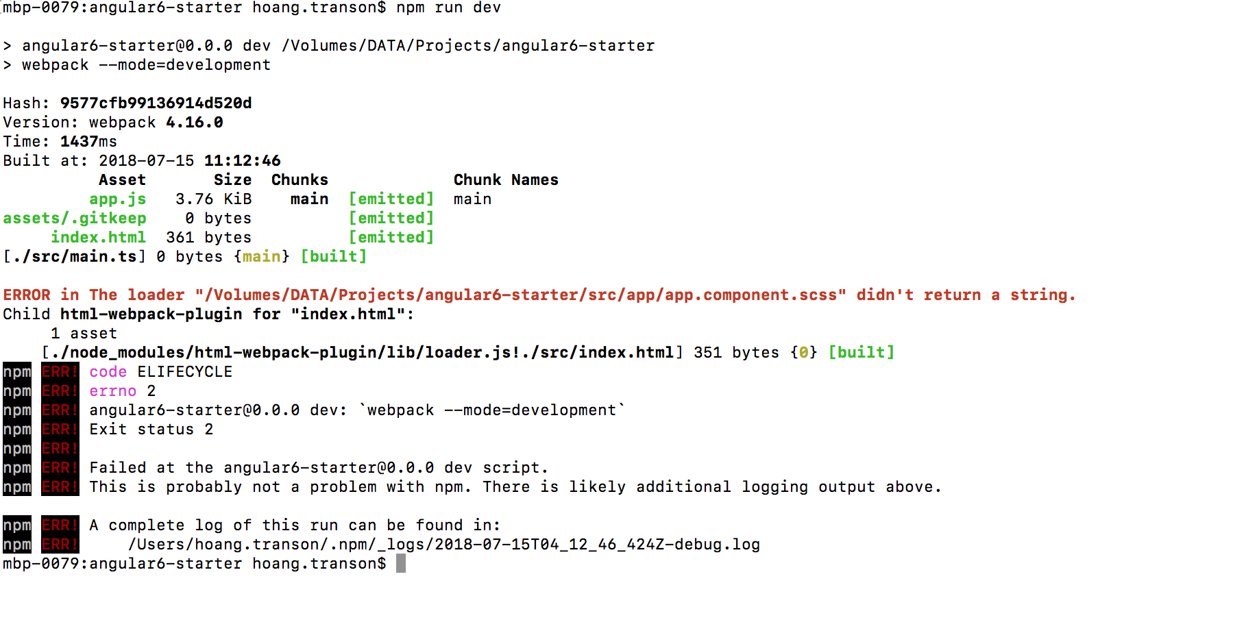 ERROR in The loader didn't return a string