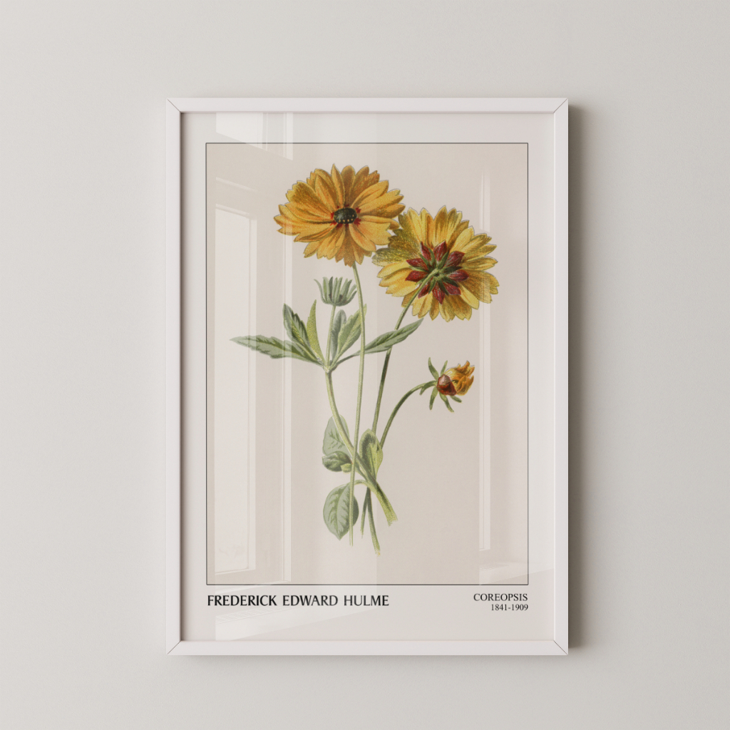 Quadro Coreopsis 30 x 42 cm com moldura branca