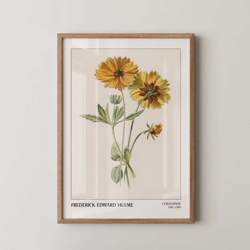 Quadro Coreopsis 30 x 42 cm com moldura carvalho