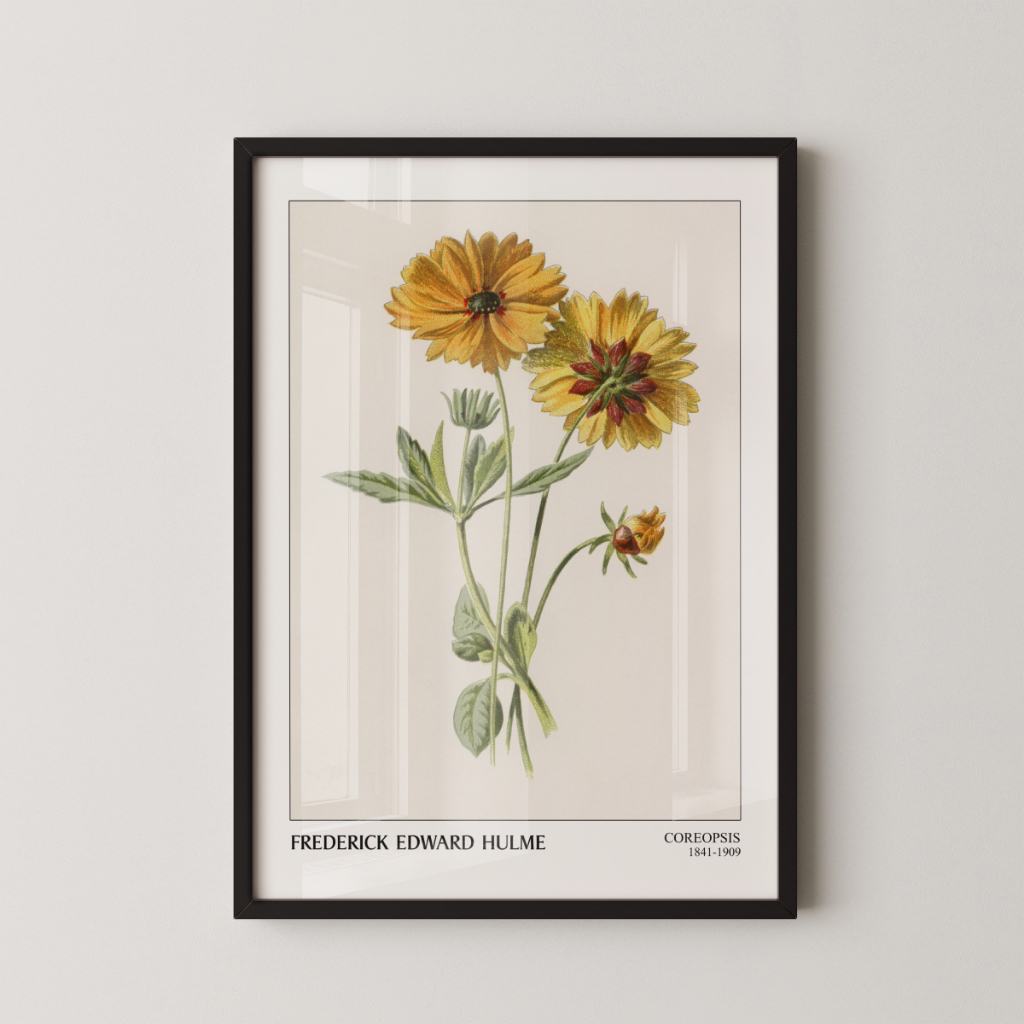 Quadro Coreopsis 30 x 42 cm com moldura preta