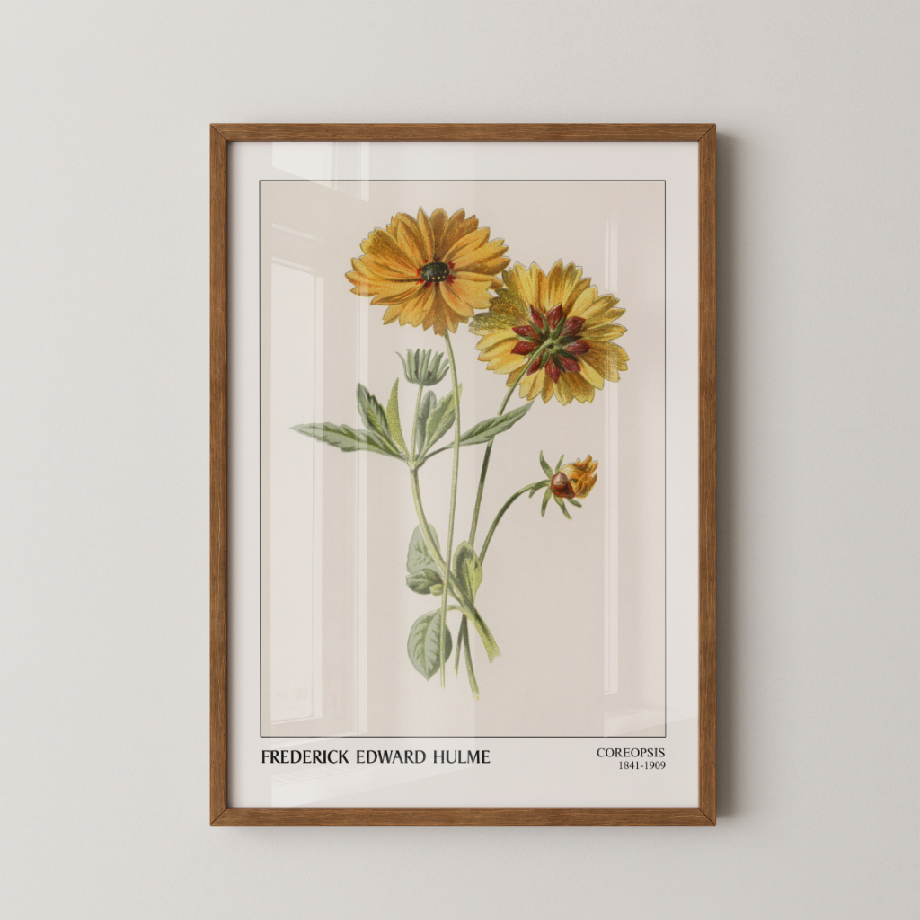 Quadro Coreopsis 30 x 42 cm com moldura marrom
