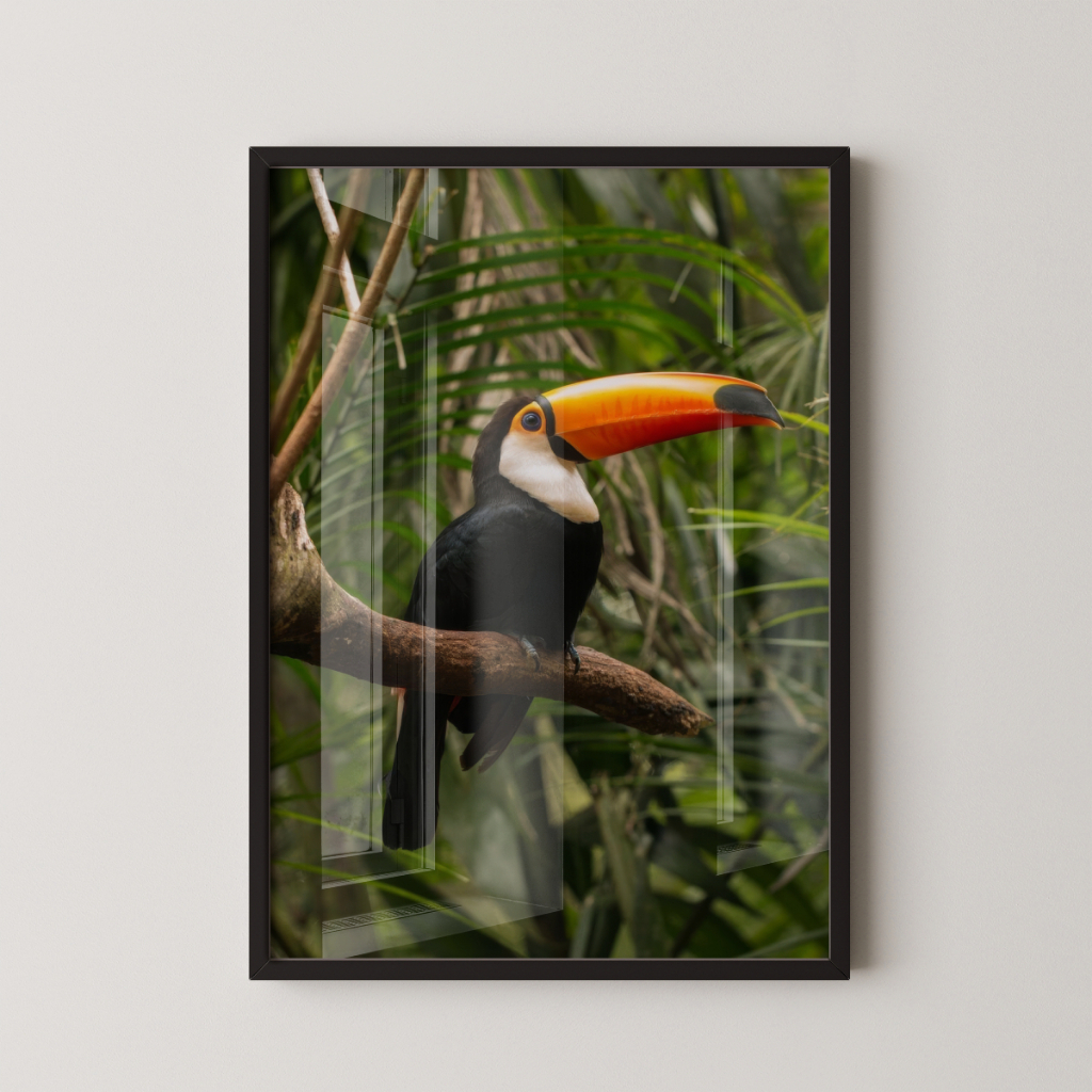 Quadro Decorativo Tucano 30 x 42 cm com moldura
