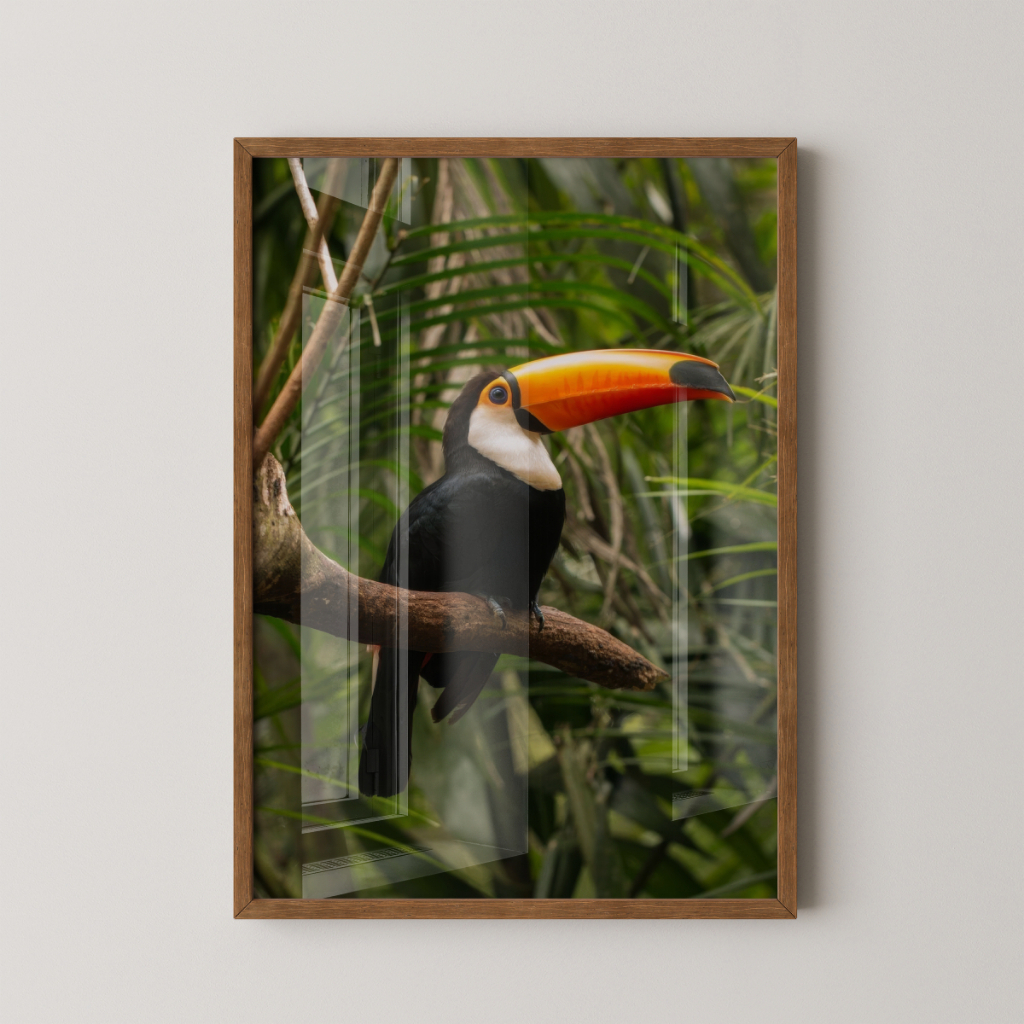 Quadro Tucano 30 x 42 cm com moldura marrom
