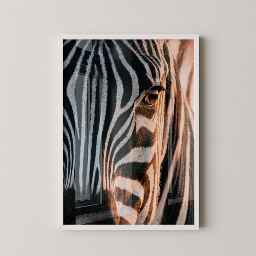 Quadro Zebra 30 x 42 cm com moldura branca