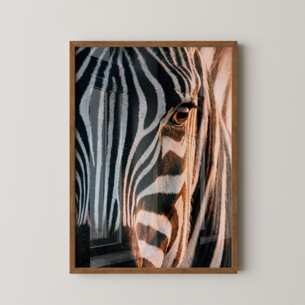 Quadro Zebra 30 x 42 cm com moldura marrom