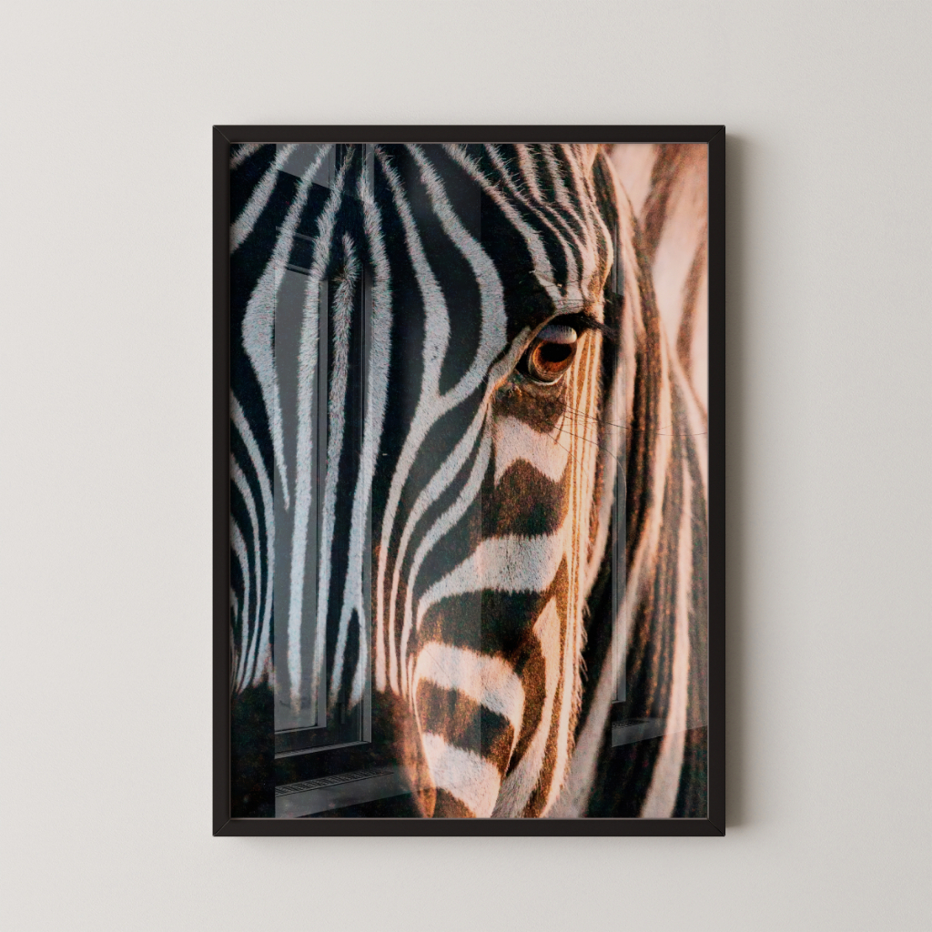 Quadro Zebra 30 x 42 cm com moldura preta