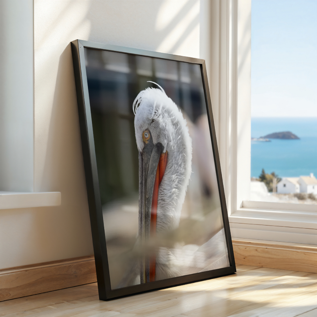 Quadro Pelicano 30 x 42 cm em ambiente decorado