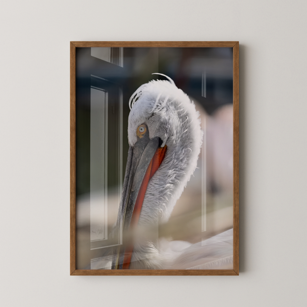 Quadro Pelicano 30 x 42 cm com moldura marrom
