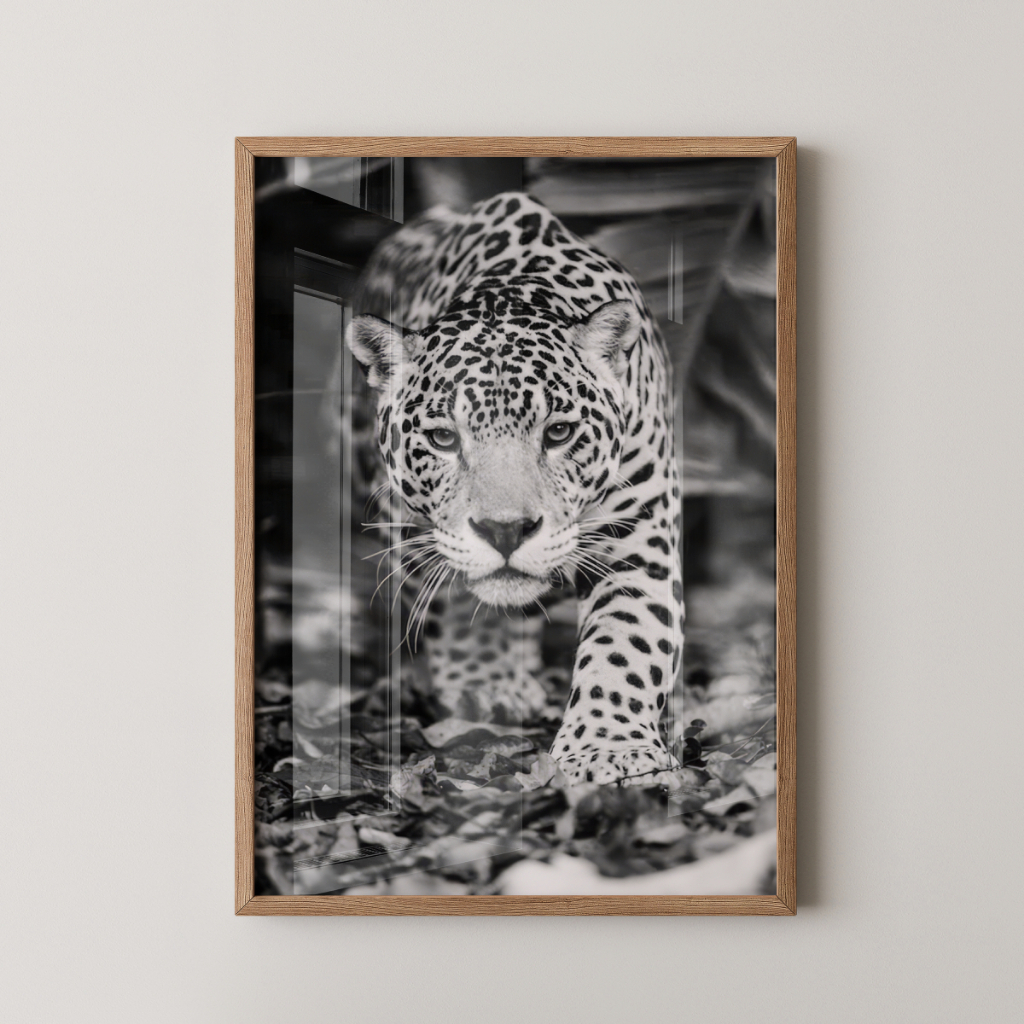 Quadro Onça-Pintada 30 x 42 cm com moldura carvalho