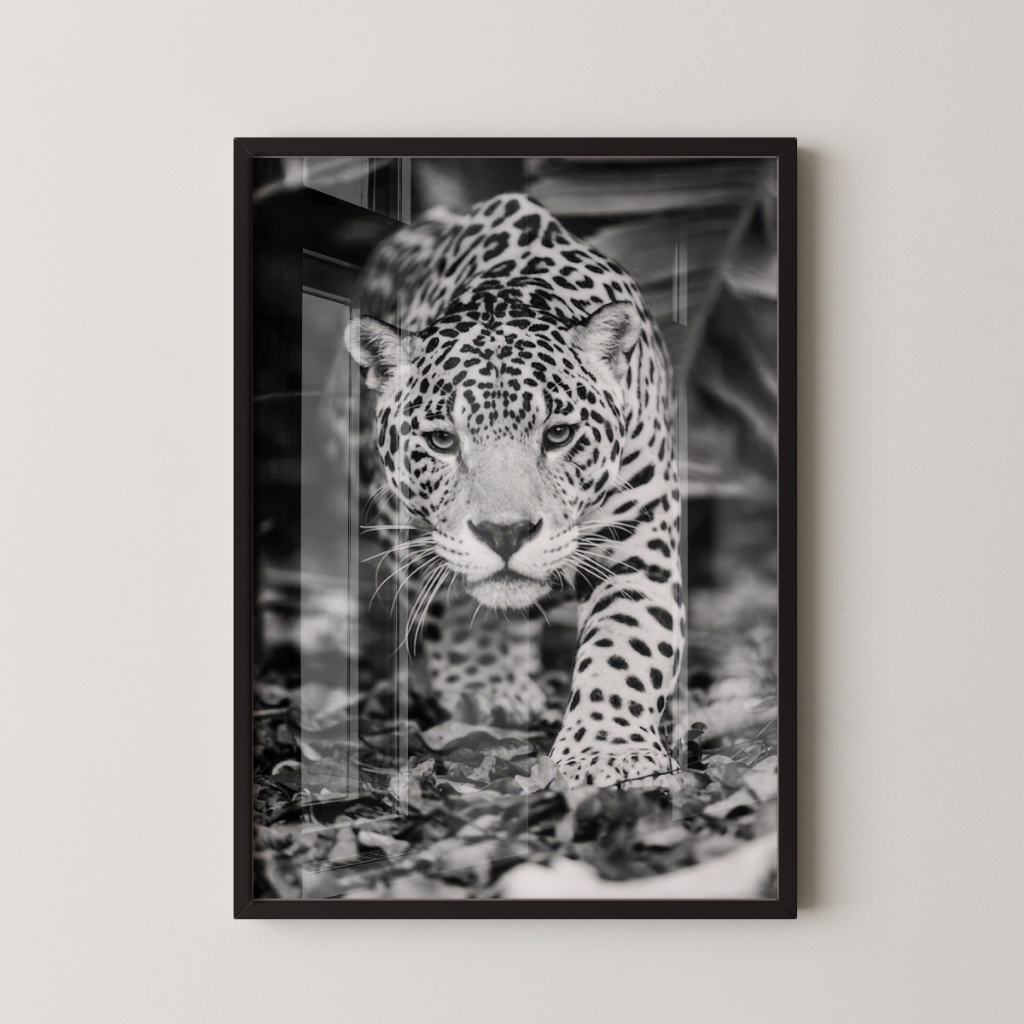 Quadro Onça-Pintada 30 x 42 cm com moldura preta