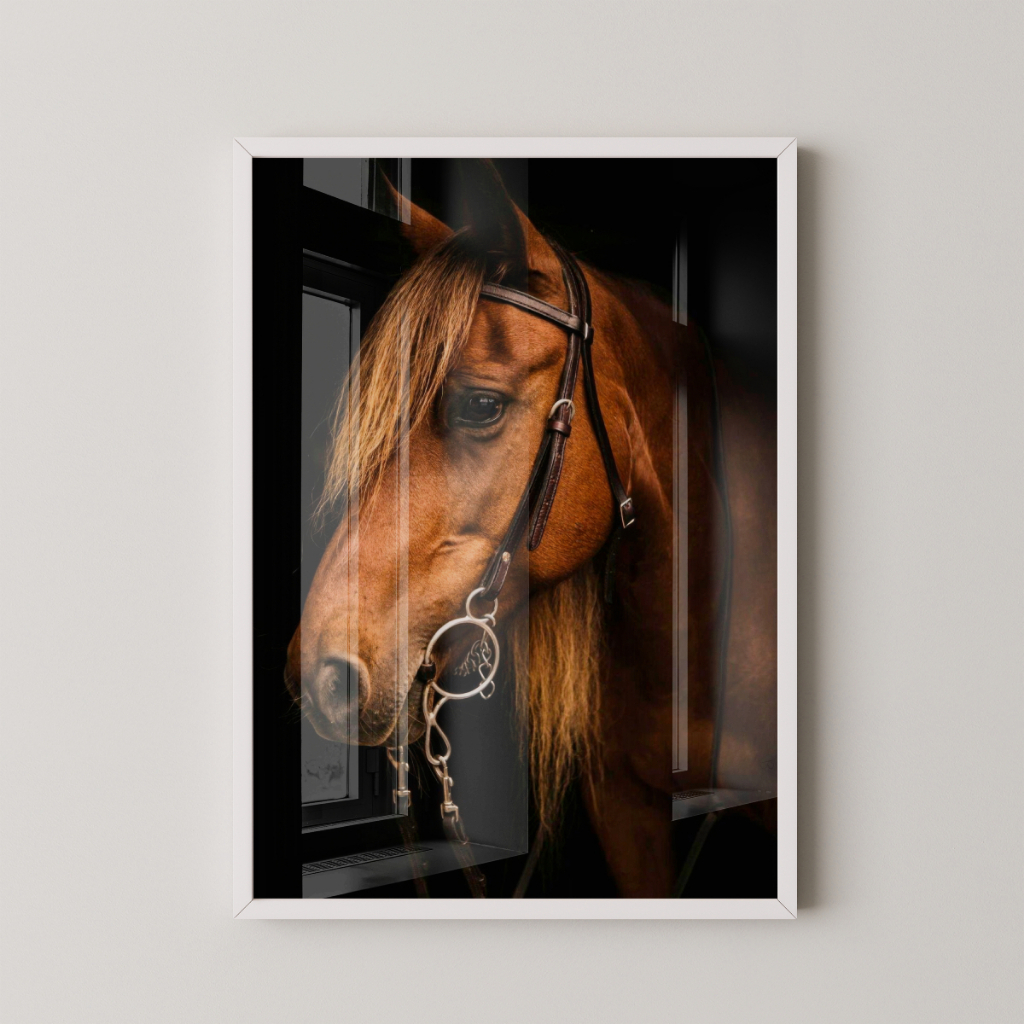 Quadro Cavalo 30 x 42 cm com moldura branca