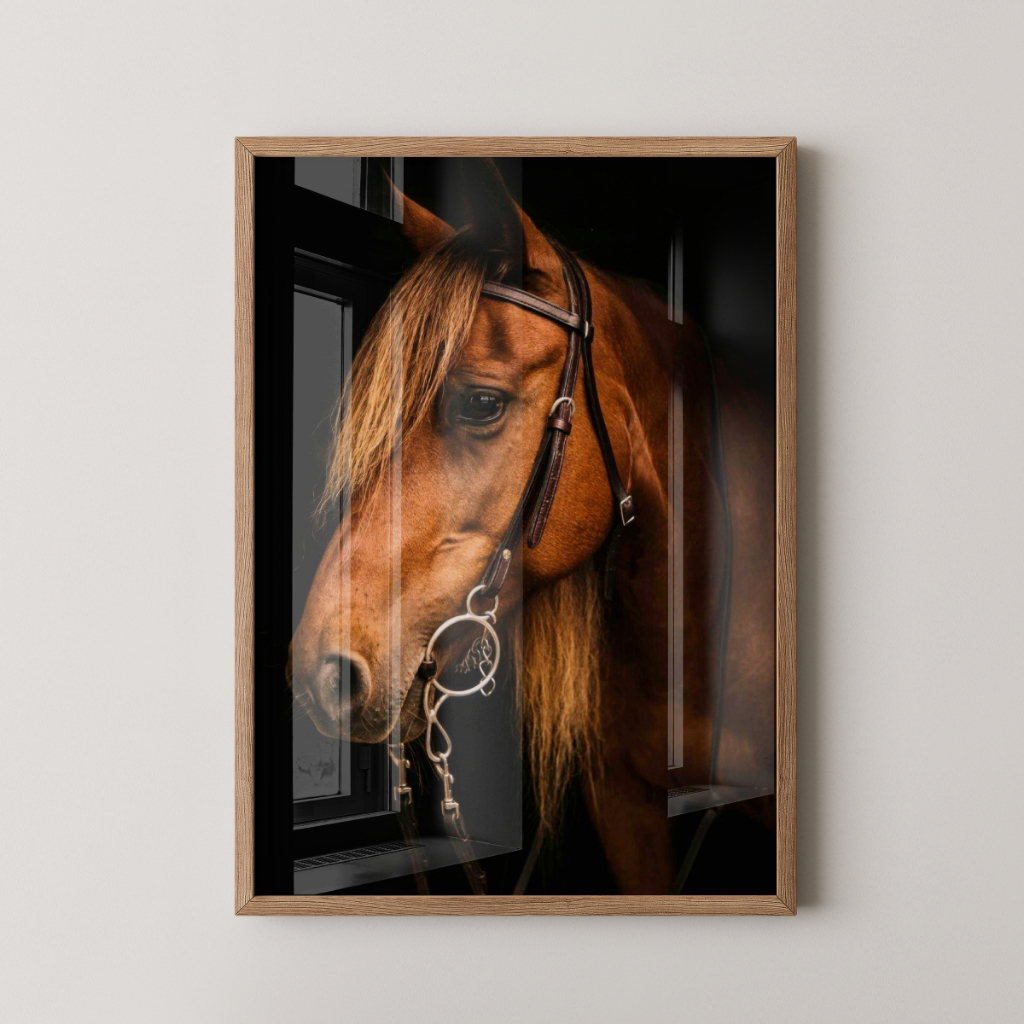 Quadro Cavalo 30 x 42 cm com moldura carvalho