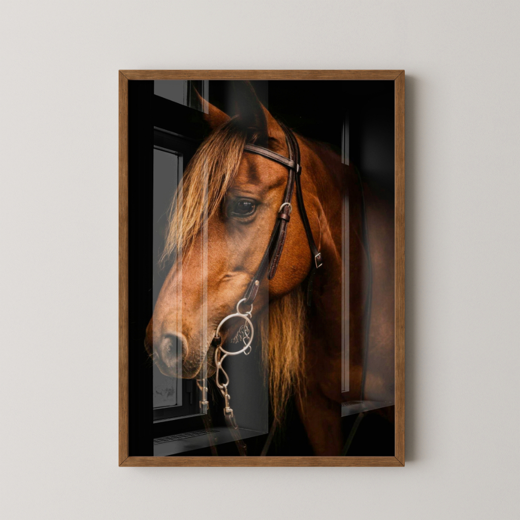 Quadro Cavalo 30 x 42 cm com moldura marrom