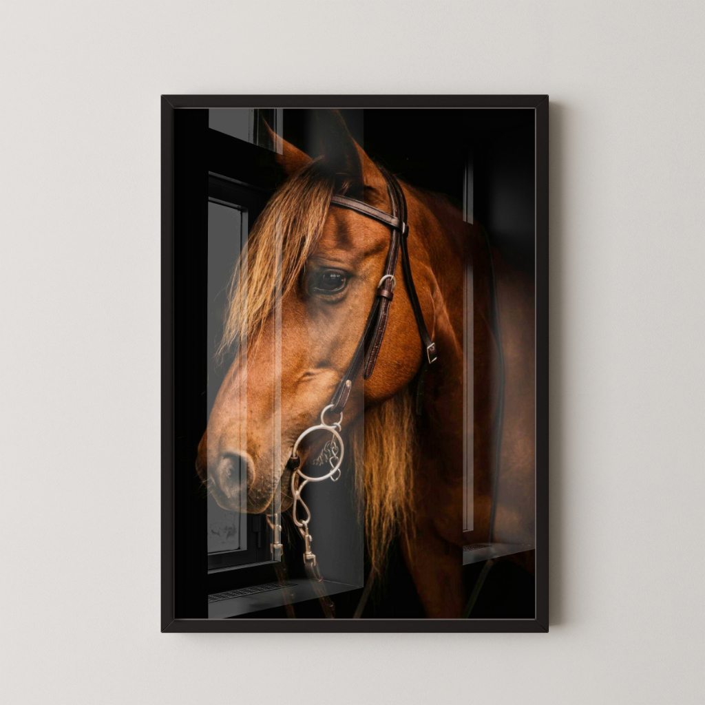 Quadro Cavalo 30 x 42 cm com moldura preta