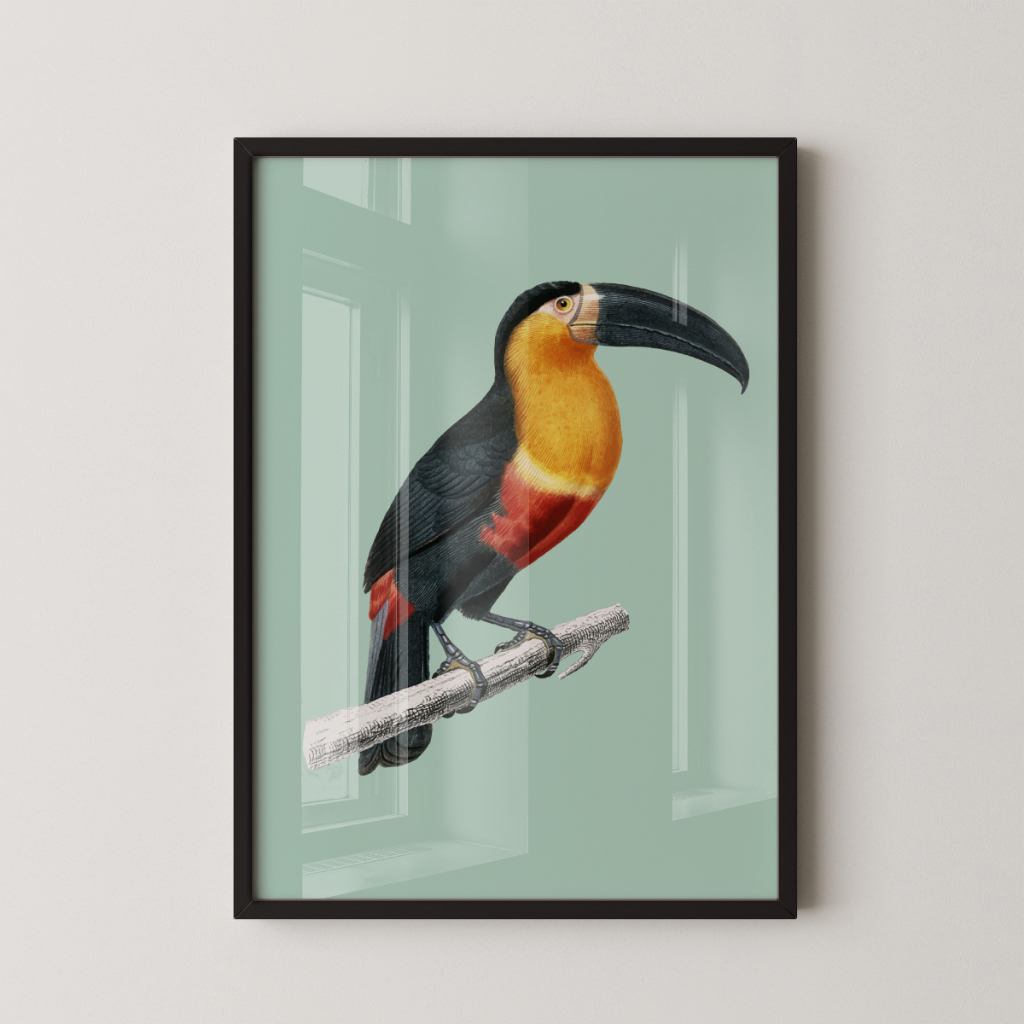 Quadro Decorativo Arte Tucano 30 x 42 cm com moldura