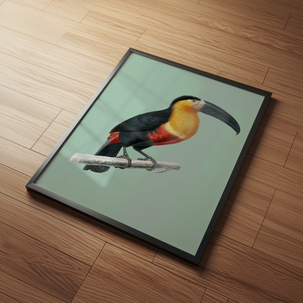 Arte Tucano 30 x 42 cm com moldura