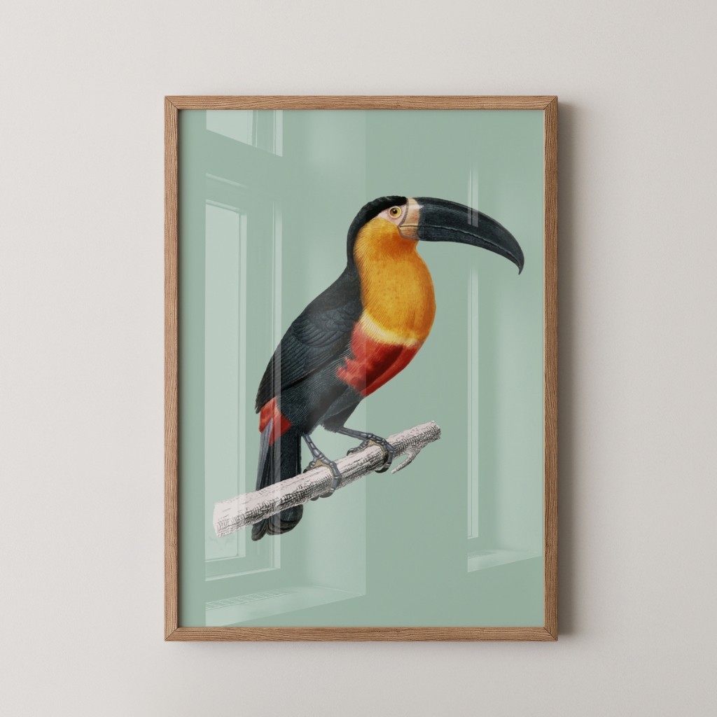 Quadro Tucano 30 x 42 cm com moldura carvalho