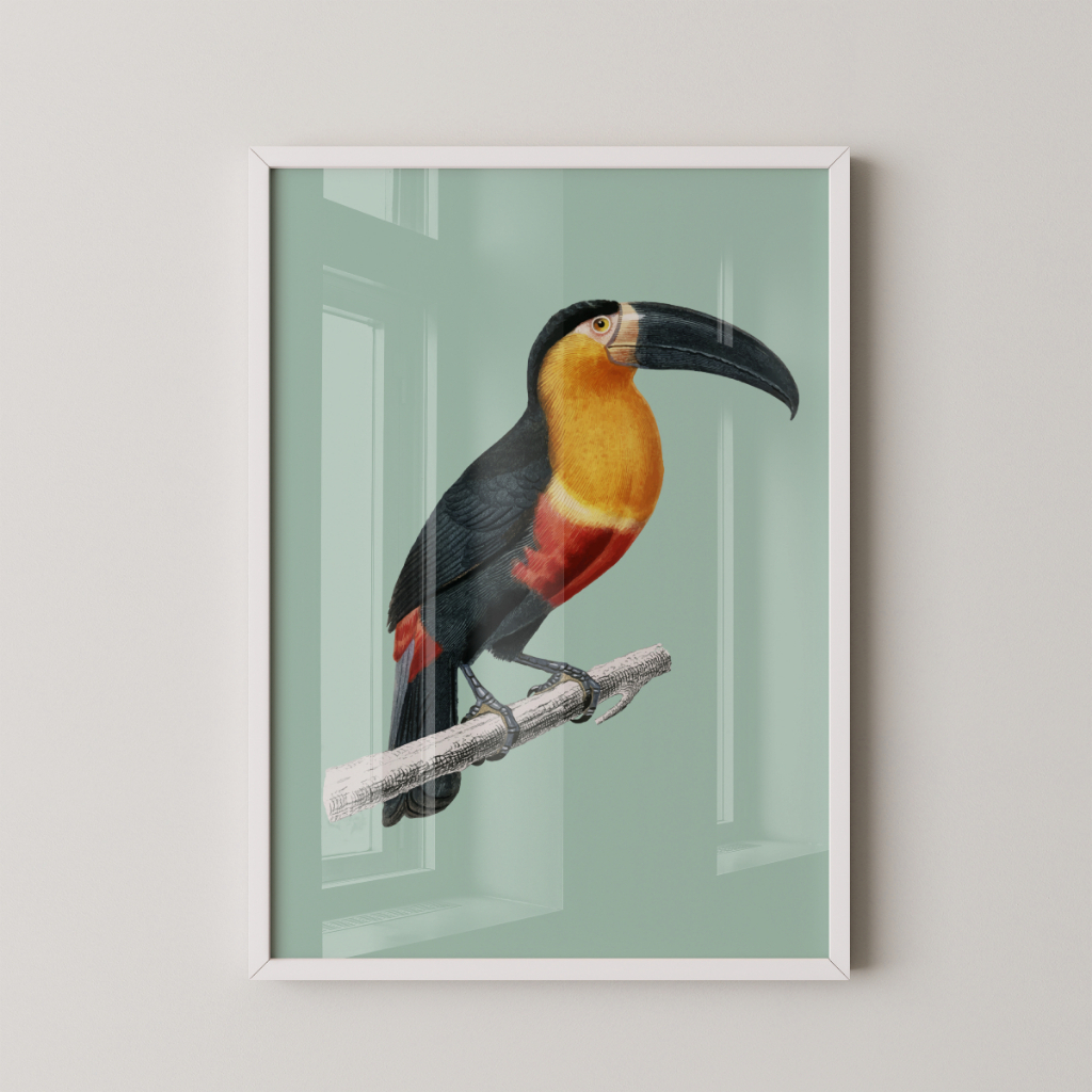 Quadro Tucano 30 x 42 cm com moldura branca