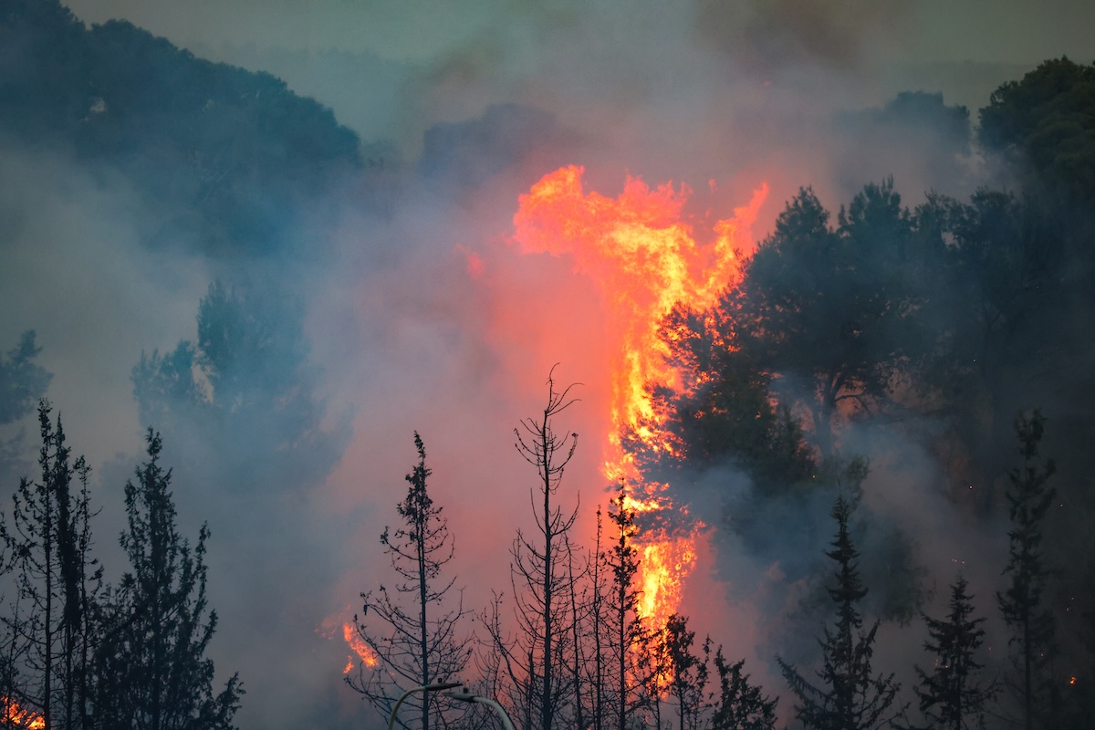Des pompiers tentent d'éteindre un gigantesque incendie de forêt à Latrun, le 1er mai 2025. (Photo : Chaim Goldberg/Flash90)