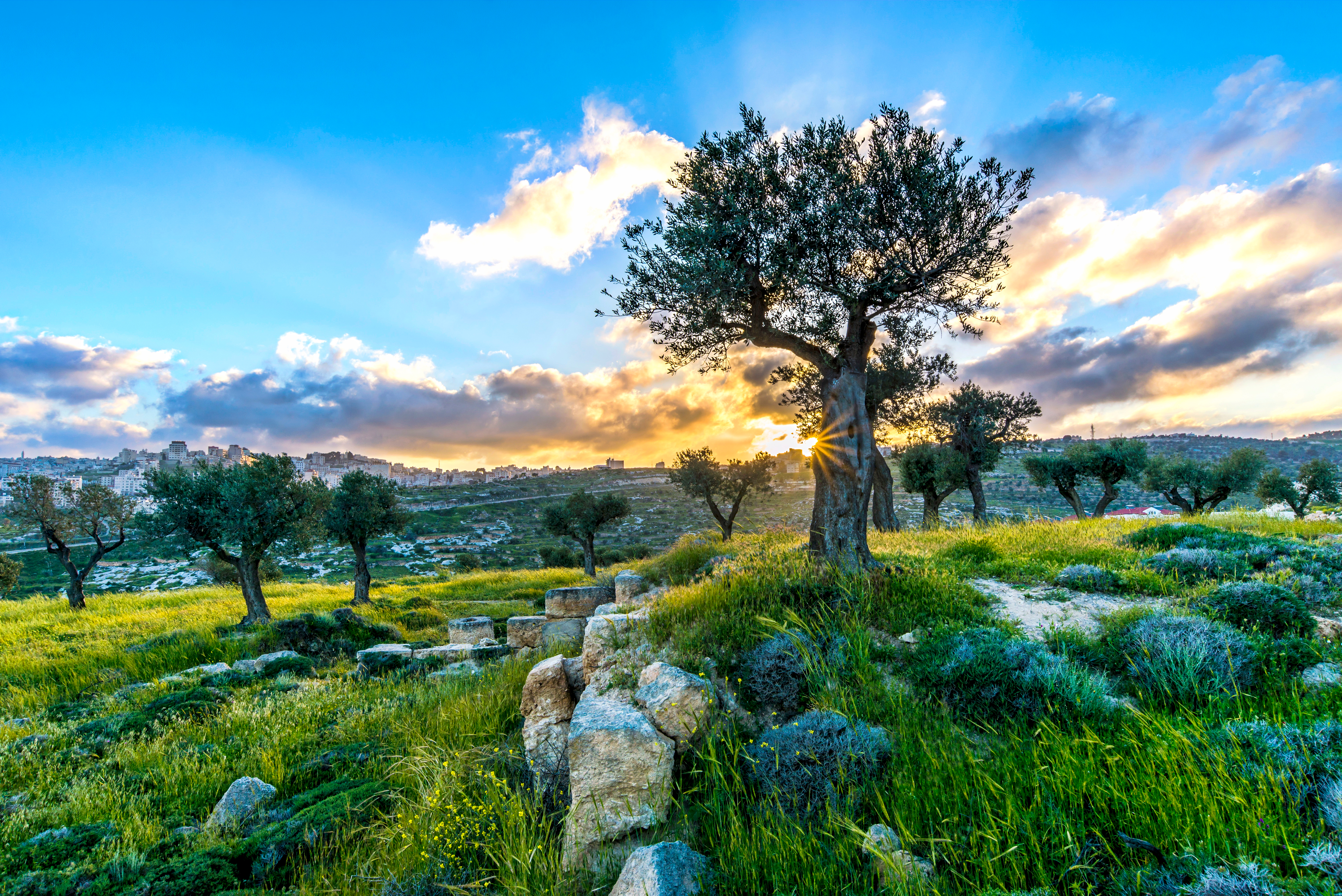 The Mount of Temptation rises above the Judean landscape near Jericho. (Photo: Shutterstock)