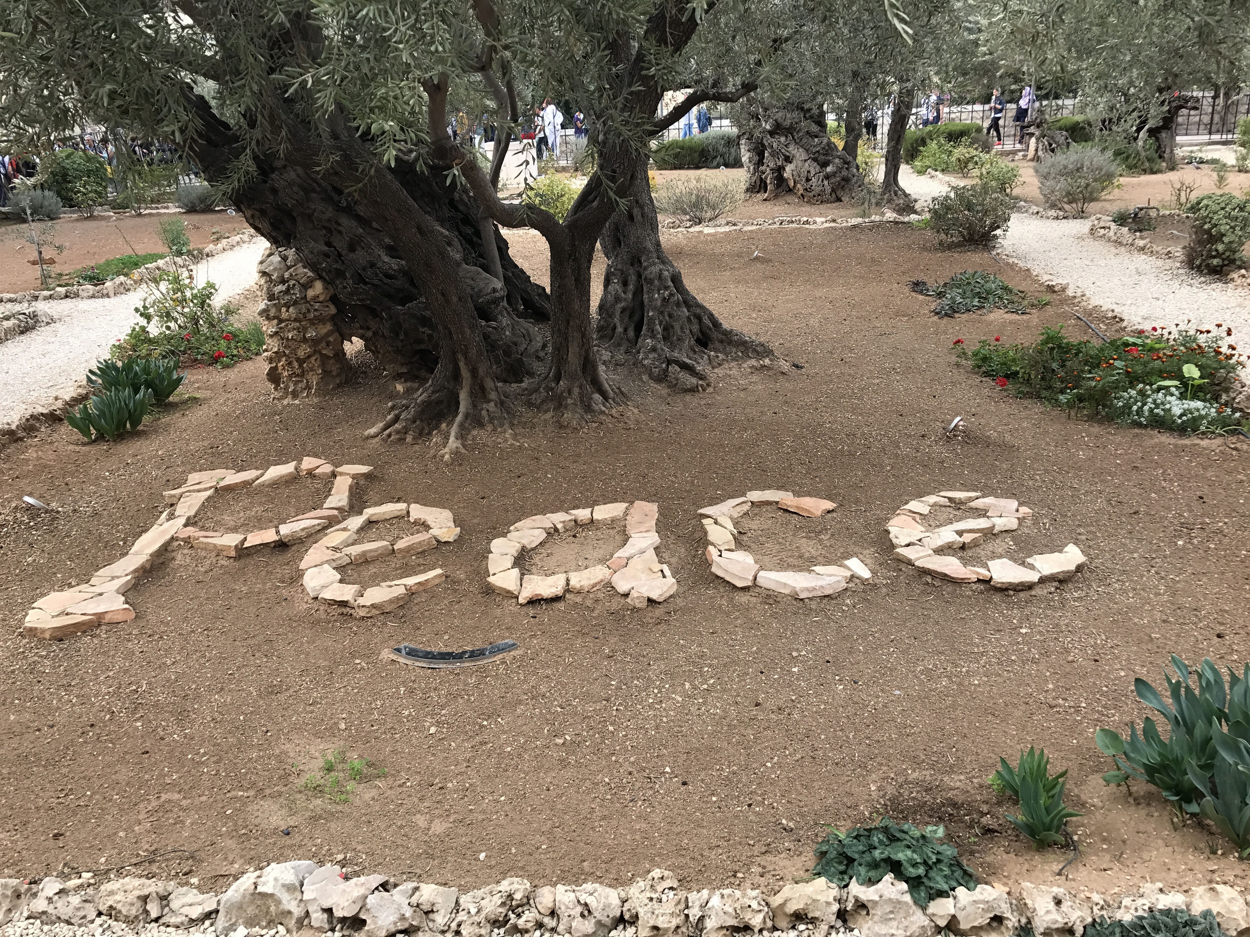 Drapeau israélien devant le Mur occidental dans la vieille ville de Jérusalem
