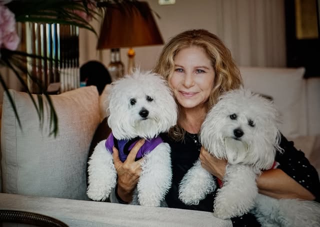 Happy birthday Violet & Scarlet 🐾 🎂