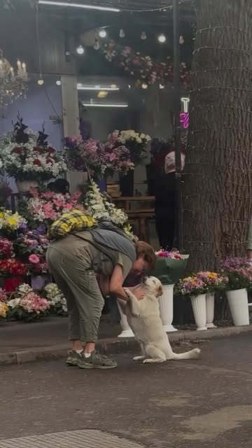 Just animals doing what they do best. Bring Joy ❣️