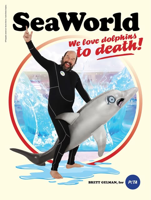 SeaWorld loves dolphins to DEATH 🐬💀

𝘚𝘵𝘳𝘢𝘯𝘨𝘦𝘳 𝘛𝘩𝘪𝘯𝘨𝘴 star @brettgelman is roasting the park for imprisoning intelligent,…