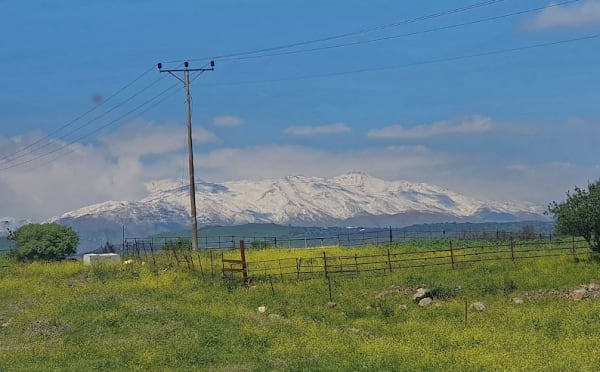 Israel: From Dan to Beersheba