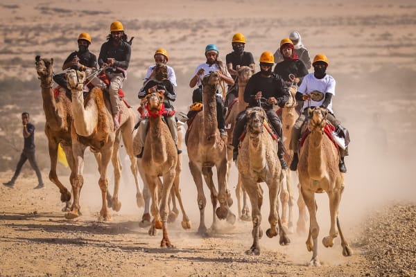 A different kind of diplomacy: UAE seeks to support Israel's Bedouin culture in the Negev through camel racing