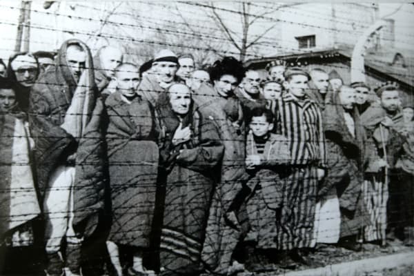 New survey finds only half of Brazilians are aware of the Holocaust