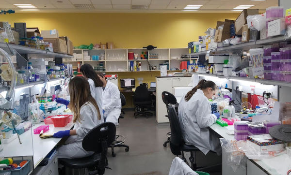 Vials of a potential coronavirus vaccine are seen on an assembly line in a photograph released by Israel's Institute for Biological Research, Oct. 25, 2020. (Photo: Israeli Ministry of Defense)