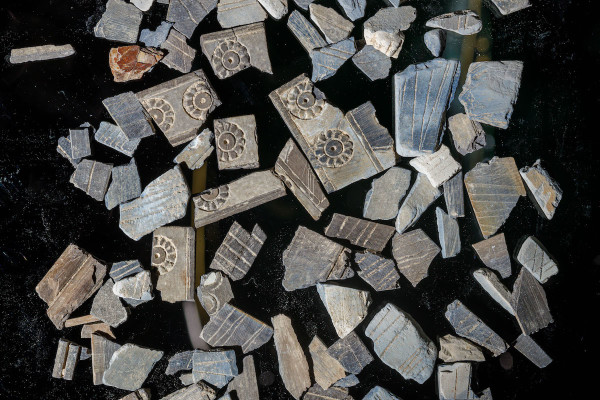 Dr. Yiftah Shalev of the Israel Antiquities Authority holds pieces of ivory decorations, (Photo: Yaniv Berman/Israel Antiquities Authority)