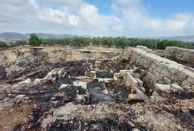 Part of Samaria National Park burnt by fires started by Palestinians (Photo: Samaria Regional Council)