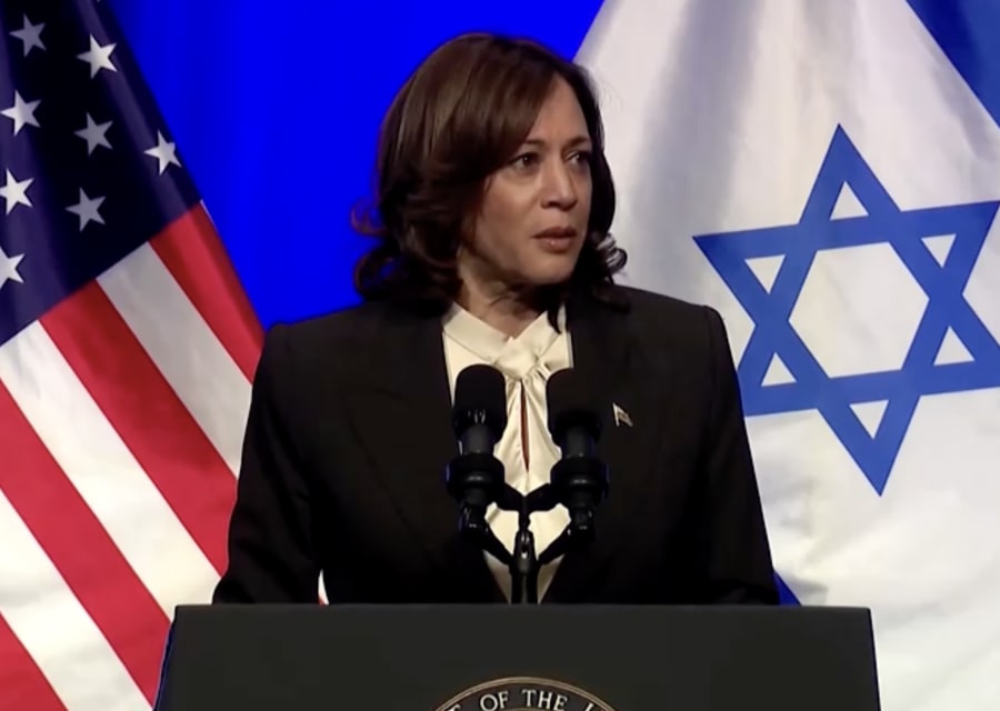 US Vice President Kamala Harris addresses an event hosted by the Israeli Embassy in Washington marking Israel's 75th year of independence, June 6, 2023. (Photo: Screenshot)