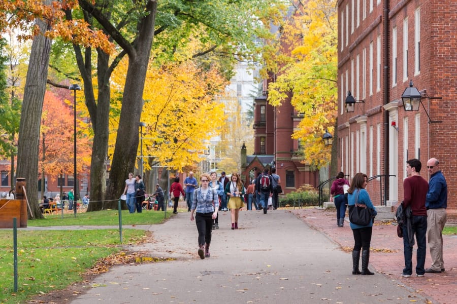 Illustration - Campus de l'université de Harvard (Photo : Shutterstock)