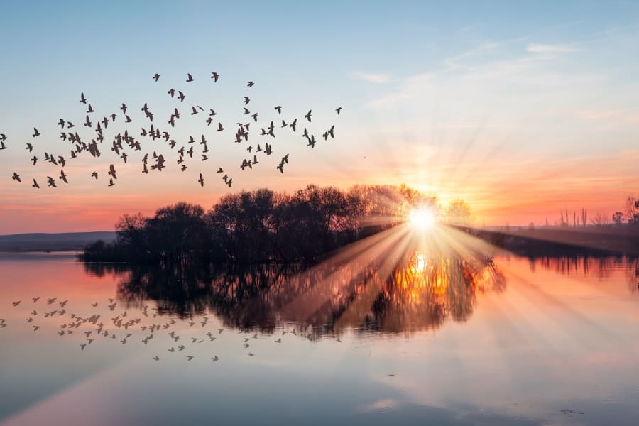 (Photo: Shutterstock)